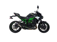 Termignoni Slip-on exhaust CARBON - KAWASAKI Z900