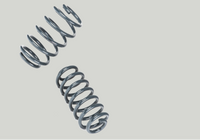 RacingLine Sport Springs (ACC Compatible) - MK7/7.5/8 R Wagon [VWR31G70RW]